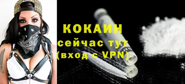 mdpv Горняк