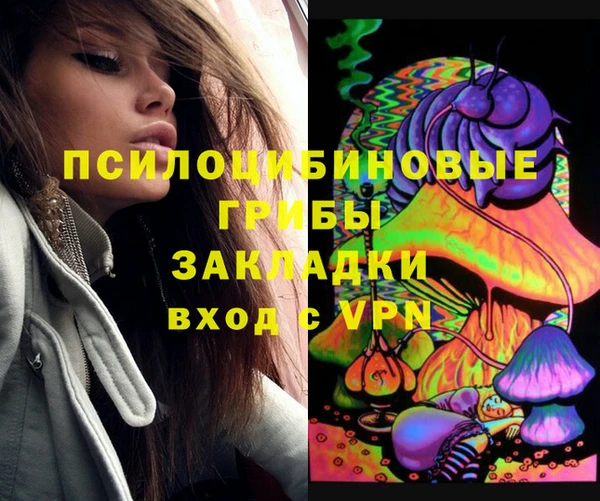 бошки Горнозаводск