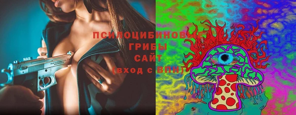 бошки Горнозаводск