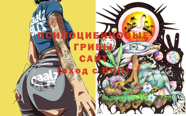 mdpv Горняк