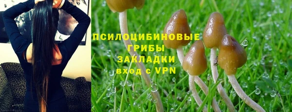 бошки Горнозаводск