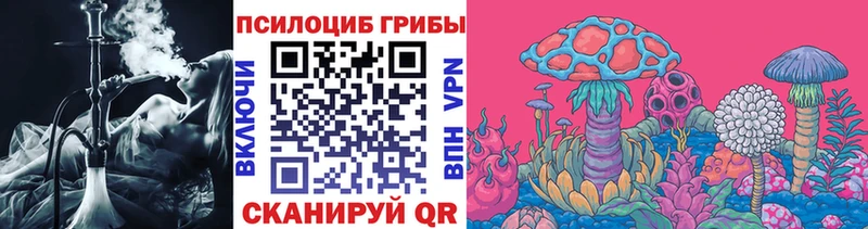 Псилоцибиновые грибы прущие грибы  Купить  Туринск 